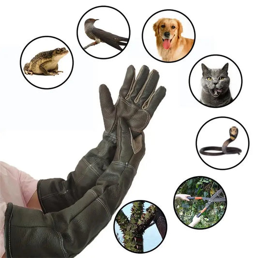 Leather Pet Handling Gloves for Bite Protection - Al-Noor Bazaar