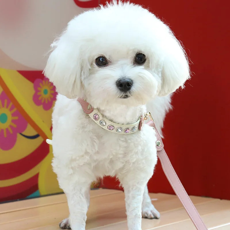 Jeweled Leather Pet Harness & Leash Set - Al-Noor Bazaar