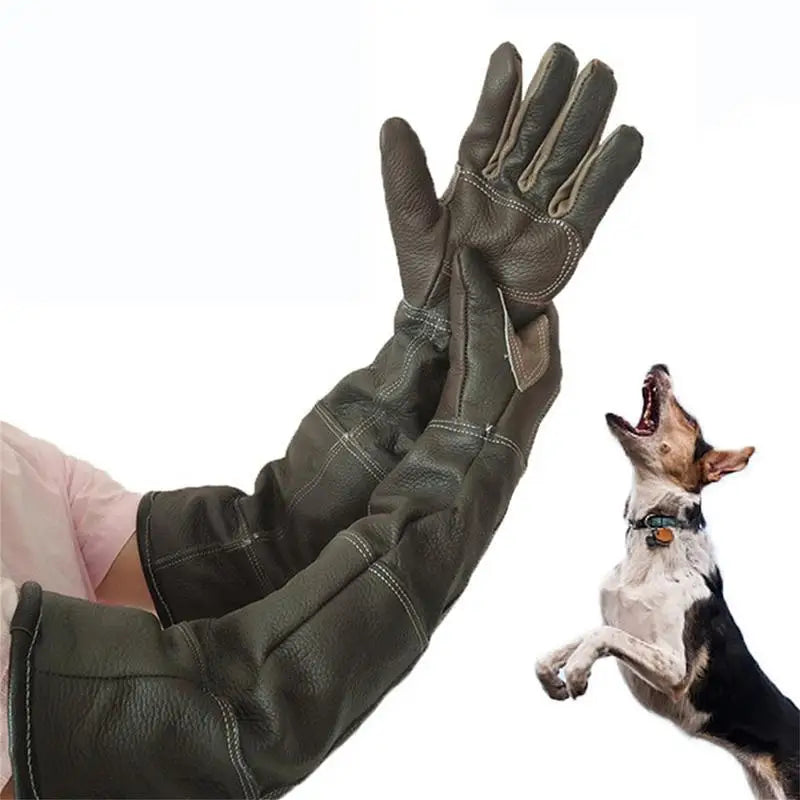 Leather Pet Handling Gloves for Bite Protection - Al-Noor Bazaar