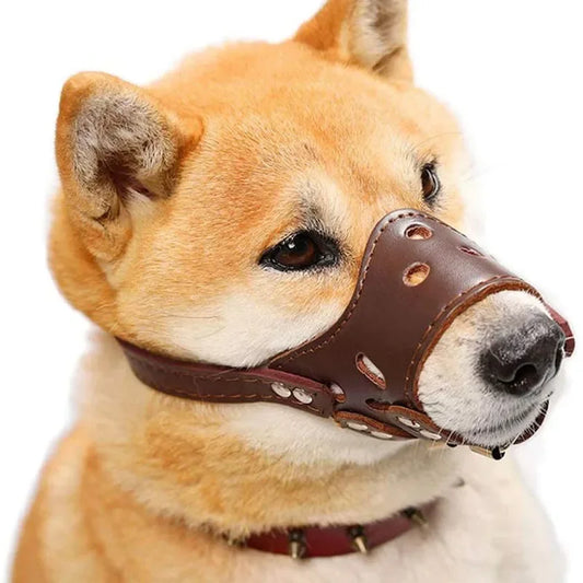 Leather Dog Muzzle for Small & Large Breeds - Al-Noor Bazaar