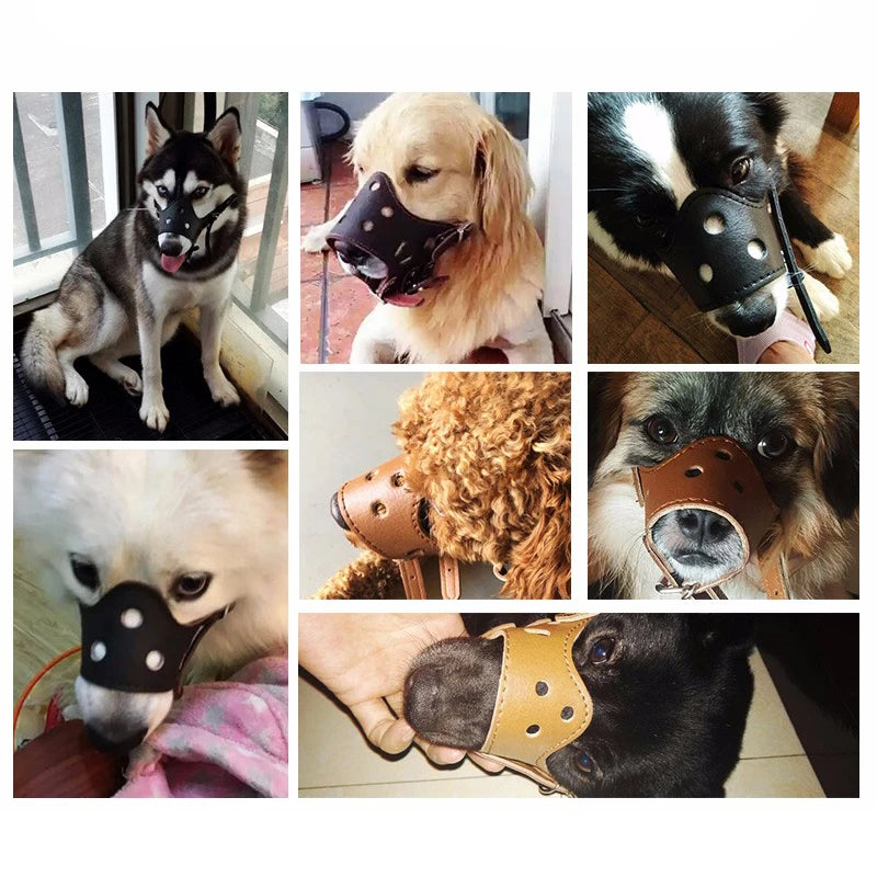 Leather Dog Muzzle for Small & Large Breeds - Al-Noor Bazaar