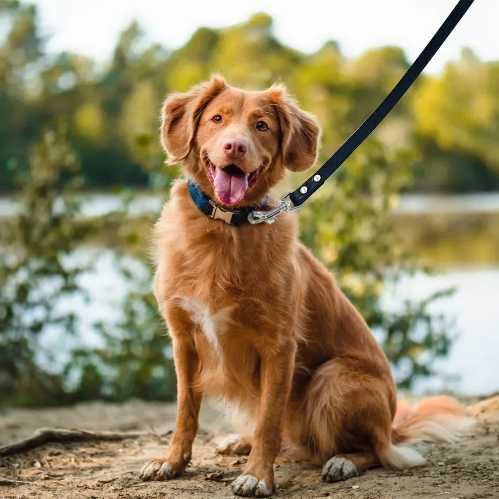 Leather Dog Leash for Small & Large Pets - Al-Noor Bazaar